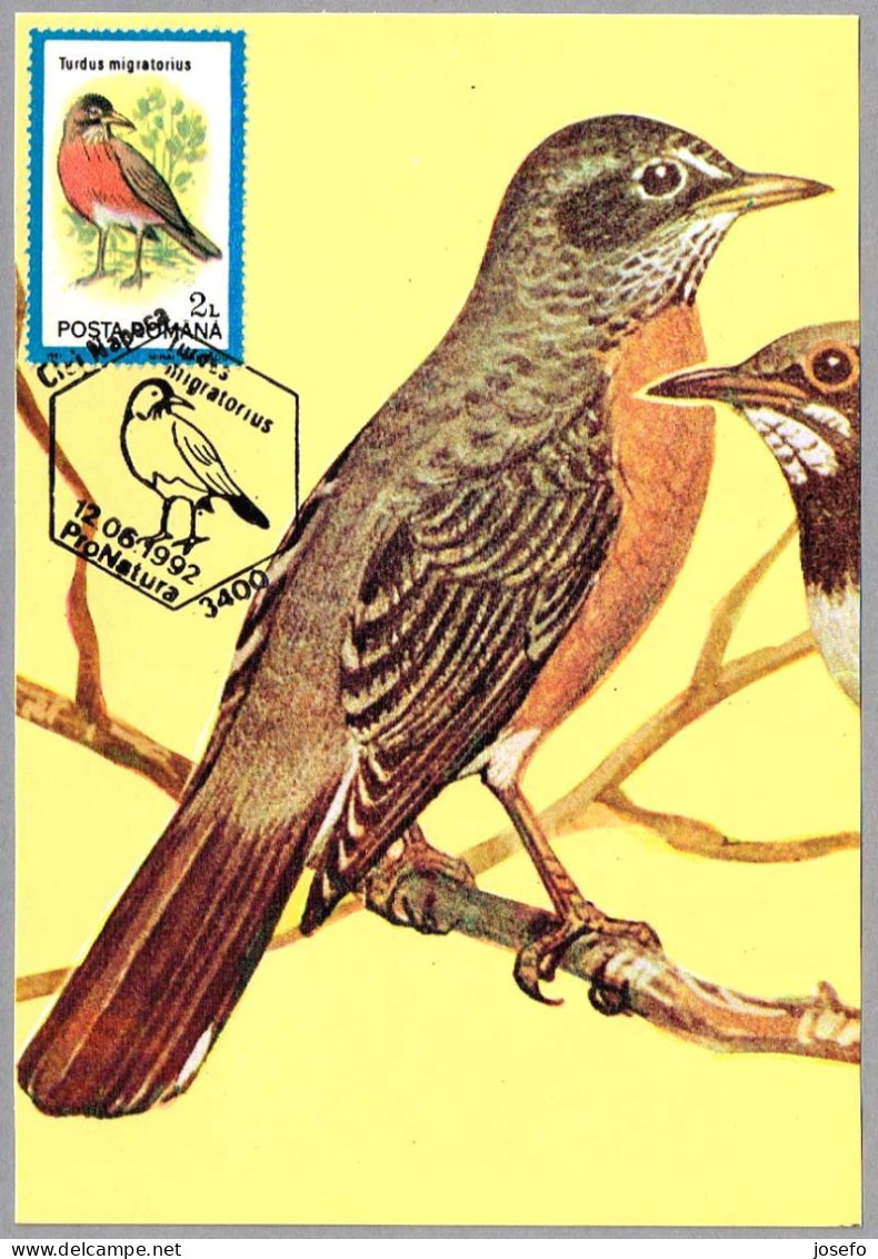 TURDUS MIGRATORIUS - Mirlo Primavera - American Robin. Cluj Napoca 1992 - Mechanical Postmarks (Advertisement)