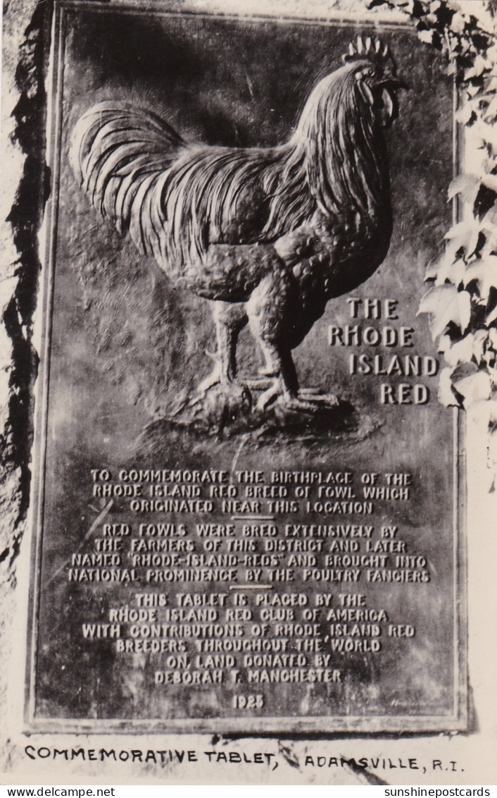 Rhode Island Auriesville The Rhode Island Red Commemorative Tablet Real Photo - Andere & Zonder Classificatie