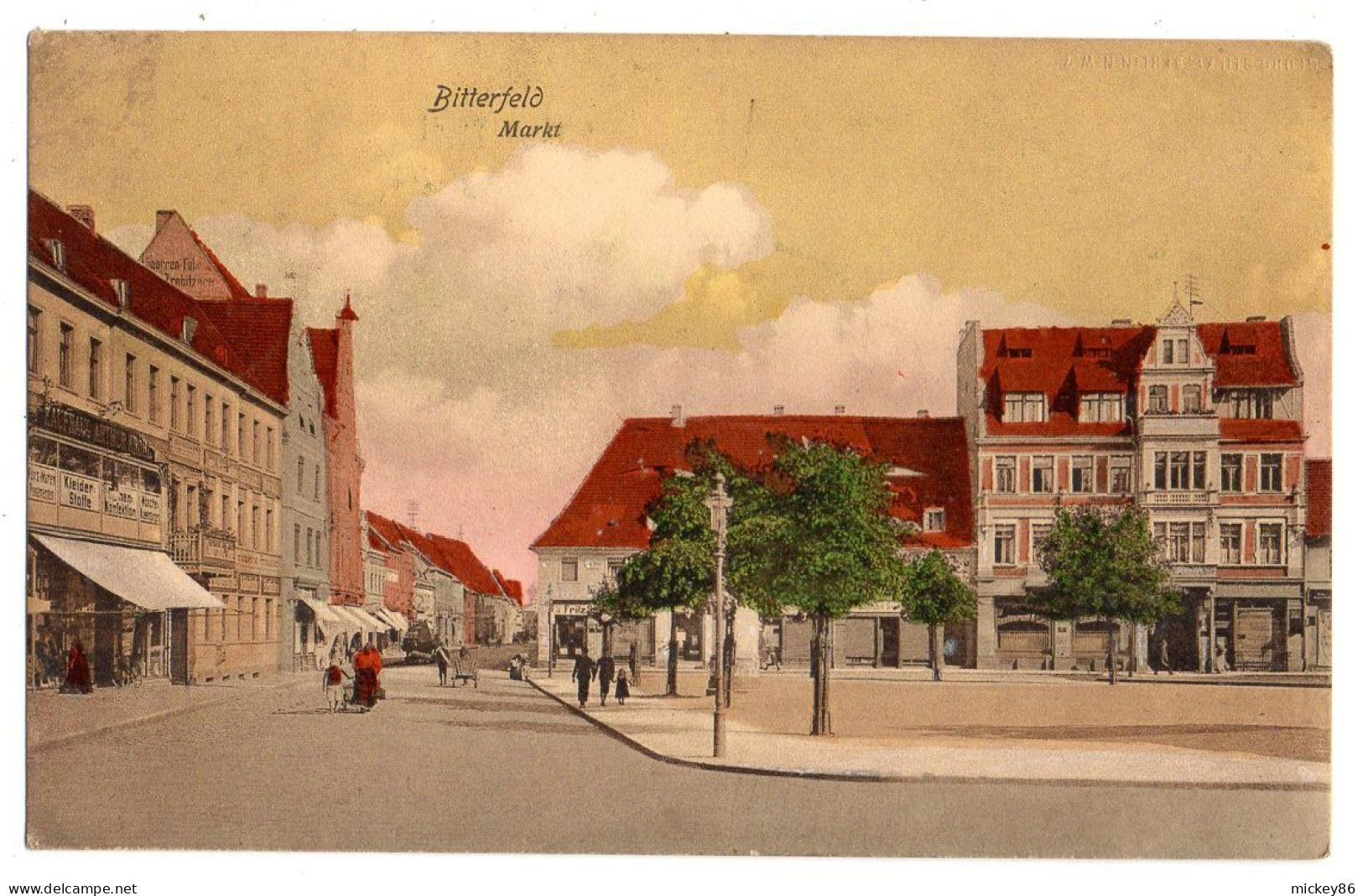 Allemagne --BITTERFELD --1912--Markt  (petite Animation) - Bitterfeld