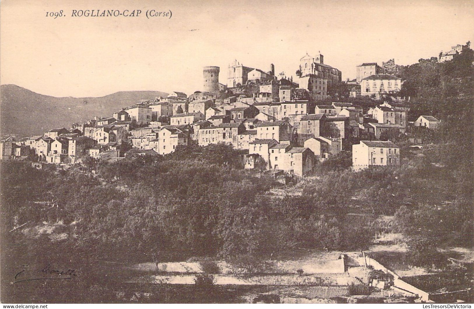 FRANCE - 2B - CORSE - ROGLIANO - CAP  - Carte Postale Ancienne - Andere & Zonder Classificatie