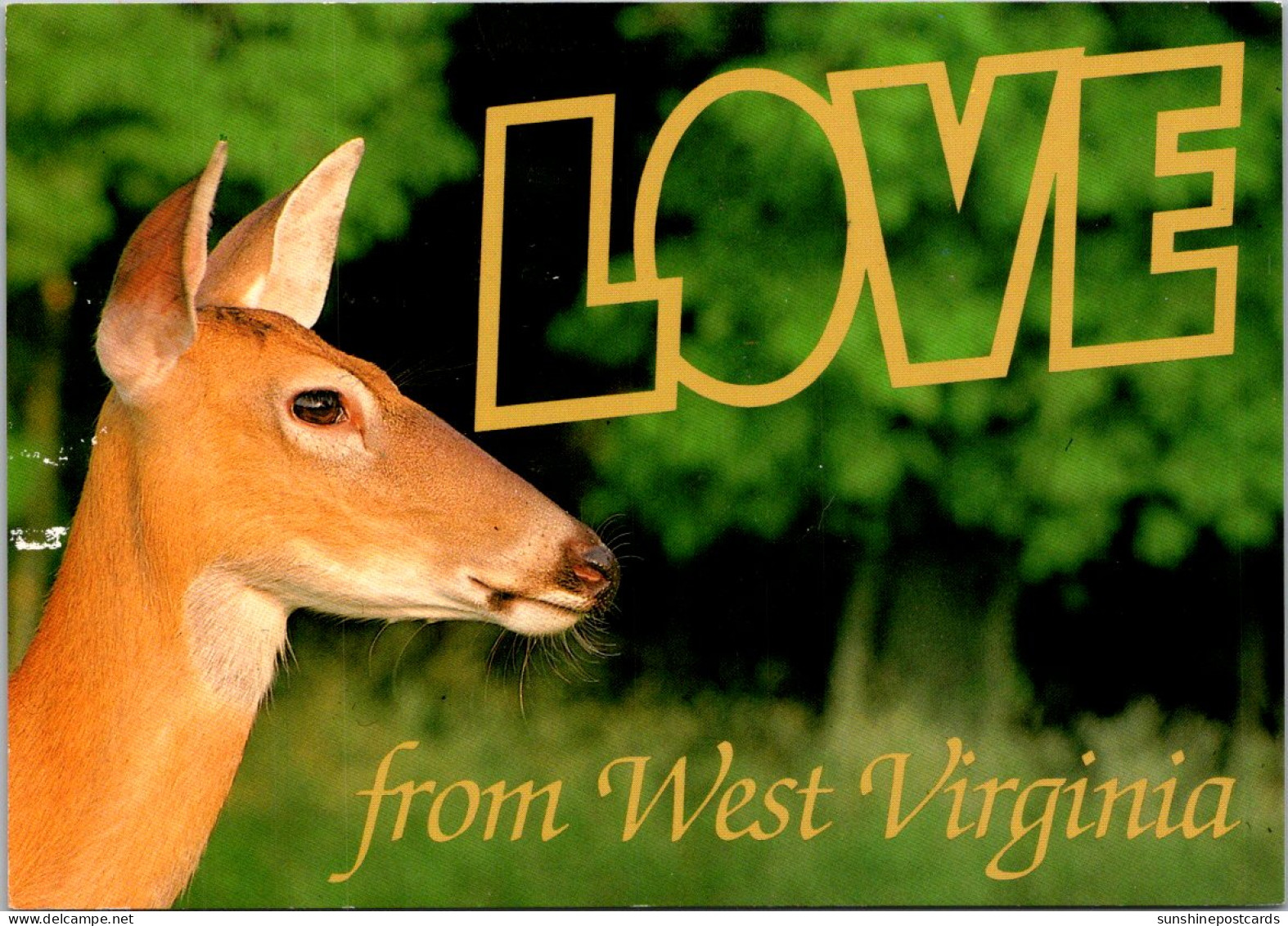 West Virginia Love With White Tail Deer - Altri & Non Classificati