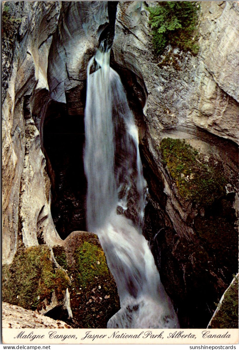 Canada Alberta Jasper National Park Maligne Canyon - Jasper