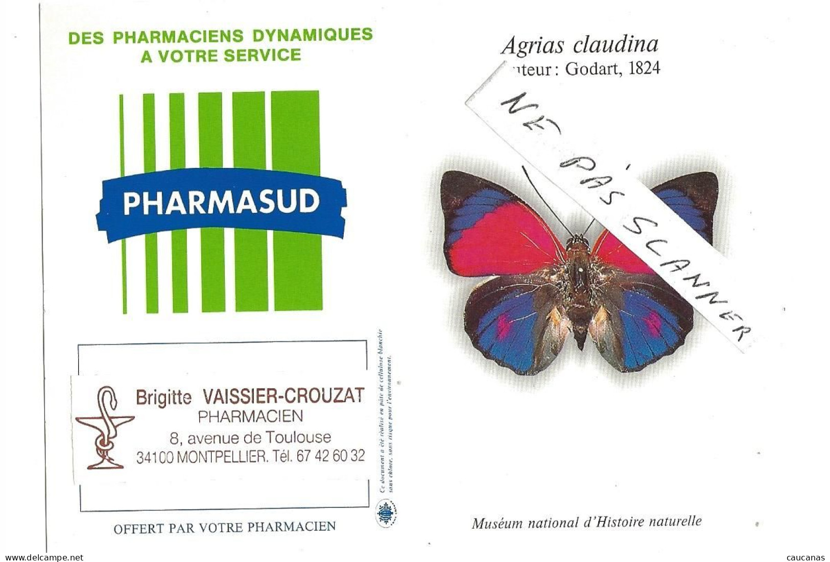 MONTPELLIER  Pharmasud 1995 - Tamaño Grande : 1991-00