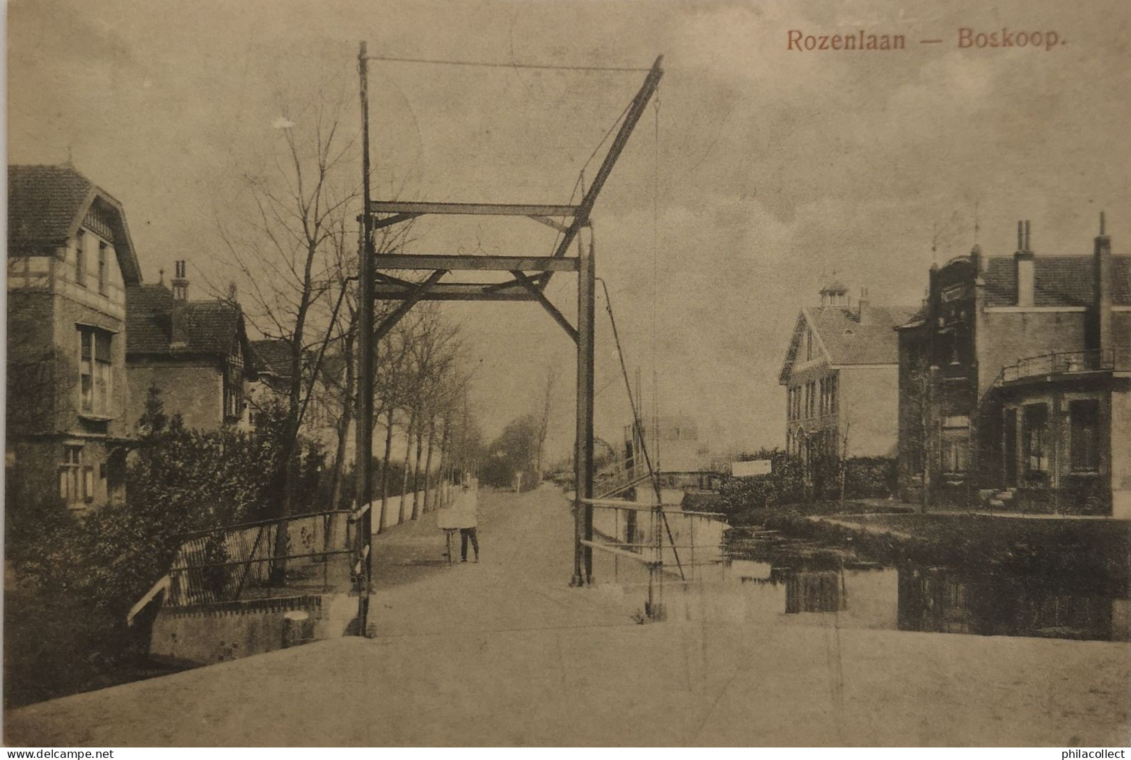 Boskoop (ZH) Rozenlaan (Brug) 1924 - Boskoop