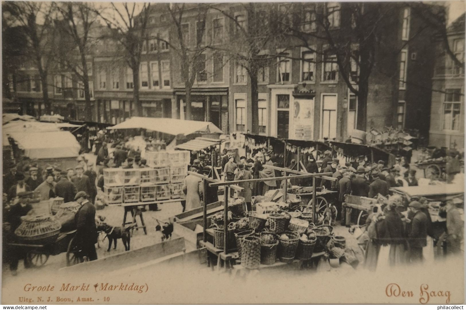 Den Haag ( 's Gravenhage)  Groote Markt (Marktdag - Volksleven) Ca 1900 - Den Haag ('s-Gravenhage)