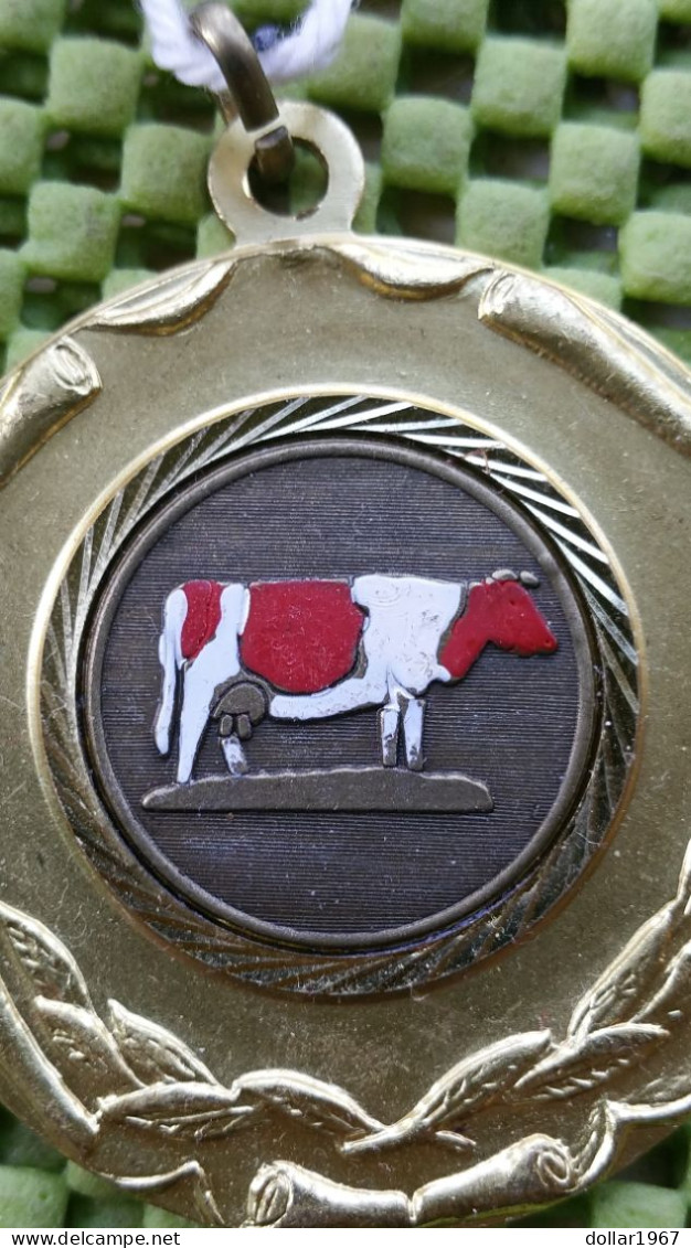 Medaille-Medal : 1A Josefien 7 - 2004 - Koe , Cow , Vache , Kuh -  Foto's  For Condition. (Originalscan !!) - Professionnels/De Société