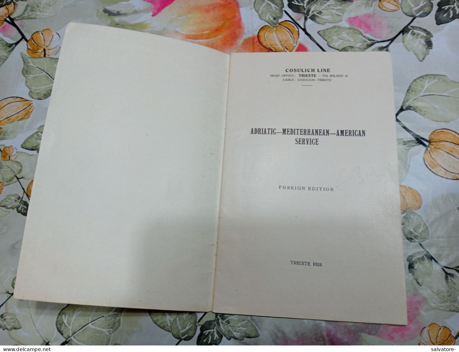 COSULICH - LINE TRIESTE- EXPRESS- PASSENGER SERVICE- TRIESTE- MEDITERRANEAN - NEW- YORK- 1924 - Pubblicità