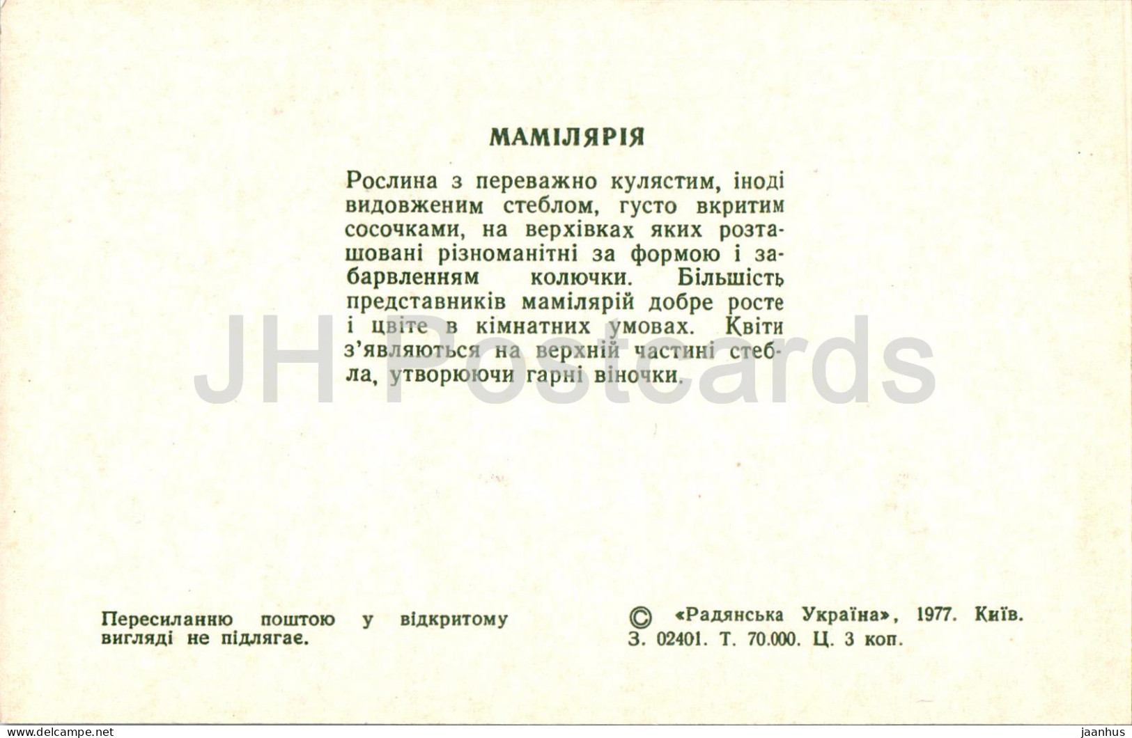 Mammillaria - Cacti - Cactus - Flowers - 1977 - Ukraine USSR - Unused - Cactus