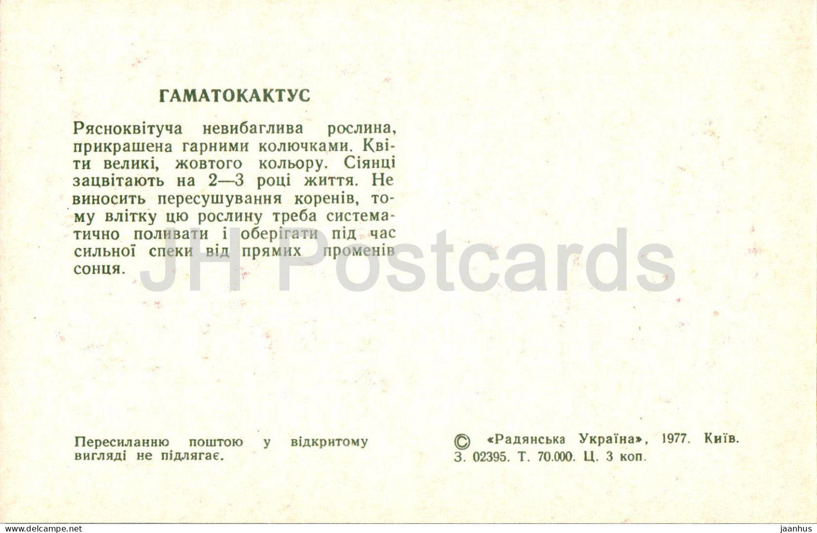 Hamatocactus - Cacti - Cactus - Flowers - 1977 - Ukraine USSR - Unused - Sukkulenten