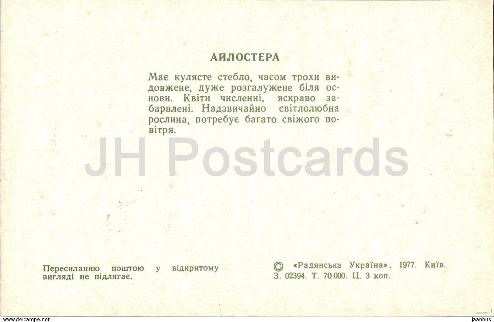 Aylostera - Cacti - Cactus - Flowers - 1977 - Ukraine USSR - Unused - Cactus