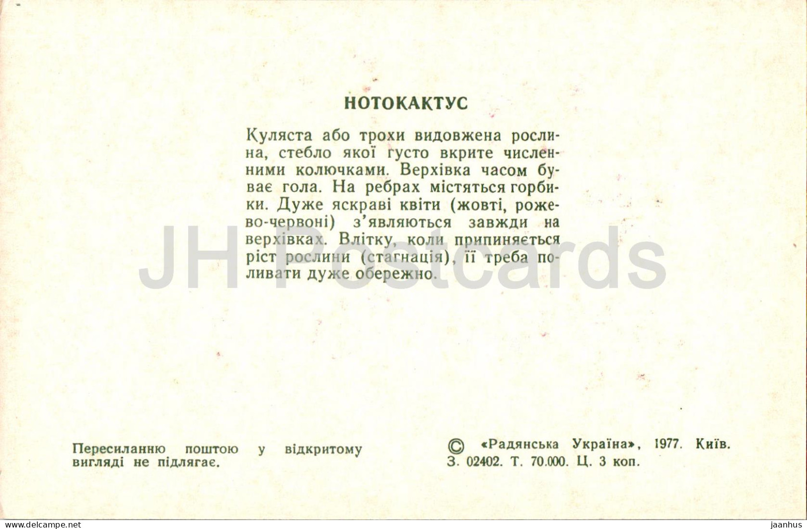 Notocactus - Cacti - Cactus - Flowers - 1977 - Ukraine USSR - Unused - Sukkulenten