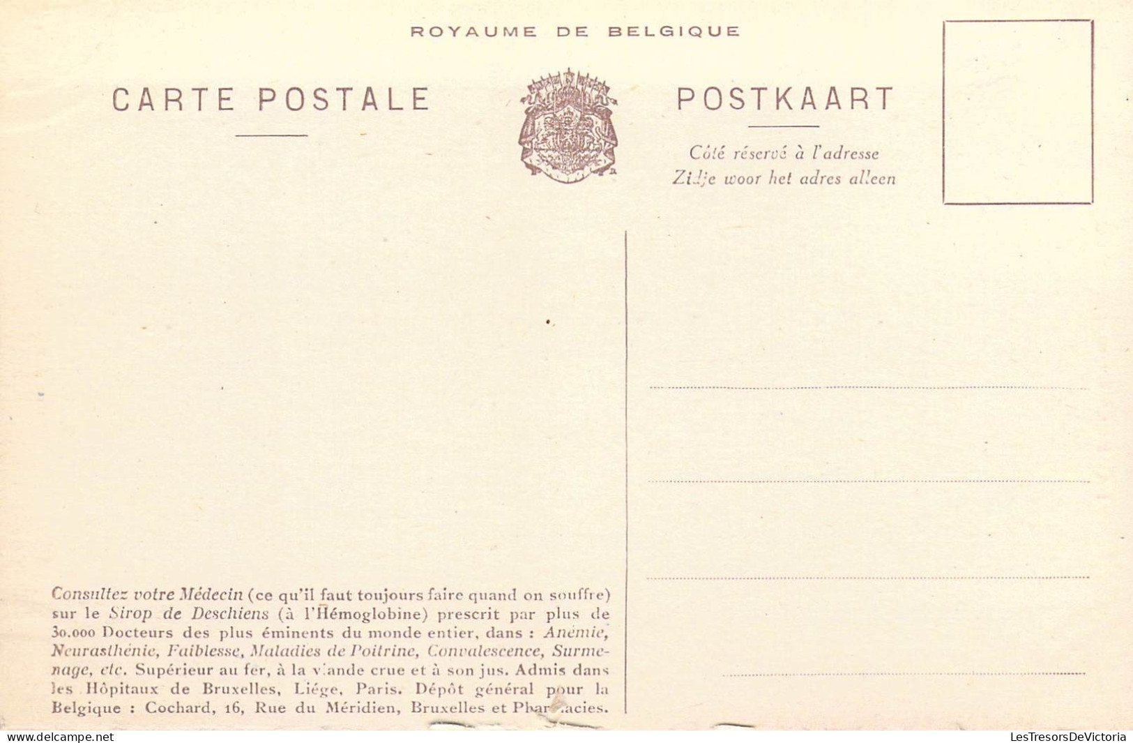 FAMILLES ROYALES - S.M. Albert 1er - Roi Des Belges - Carte Postale Ancienne - Koninklijke Families