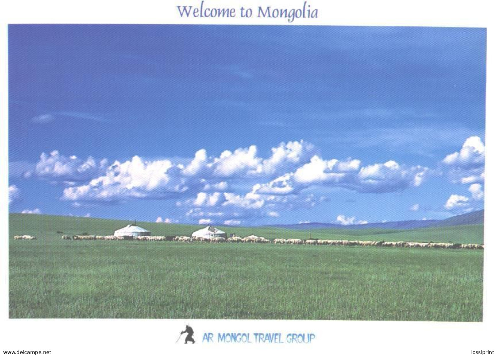 Mongolia:View With Sheeps - Mongolia