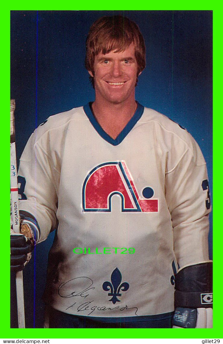 SPORTS D'HIVER LE HOCKEY - DALE HOGANSON, No 33 - CLUB LES NORDIQUES DE QUÉBEC - PHOTO, NORMAND PRESCOTT - - Sports D'hiver