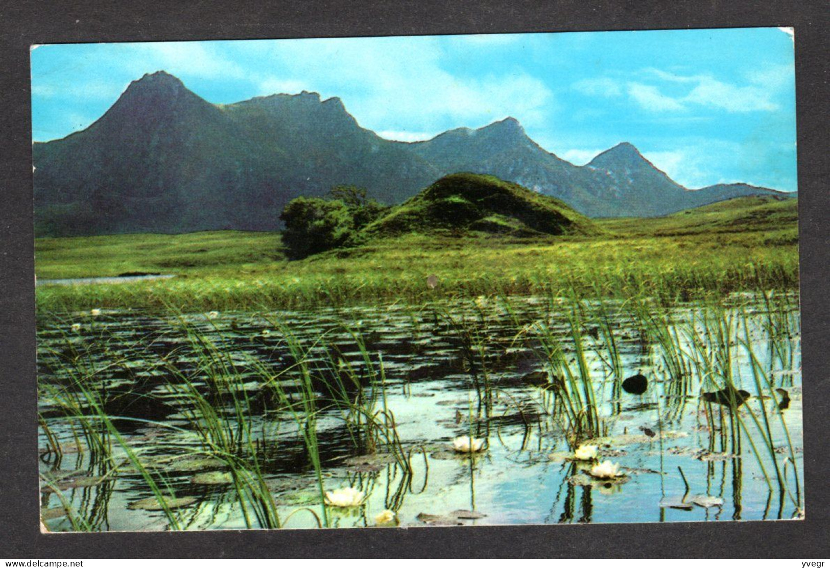 Ecosse - BEN LOYAL , NR. Tonque, Sutherland - Sutherland