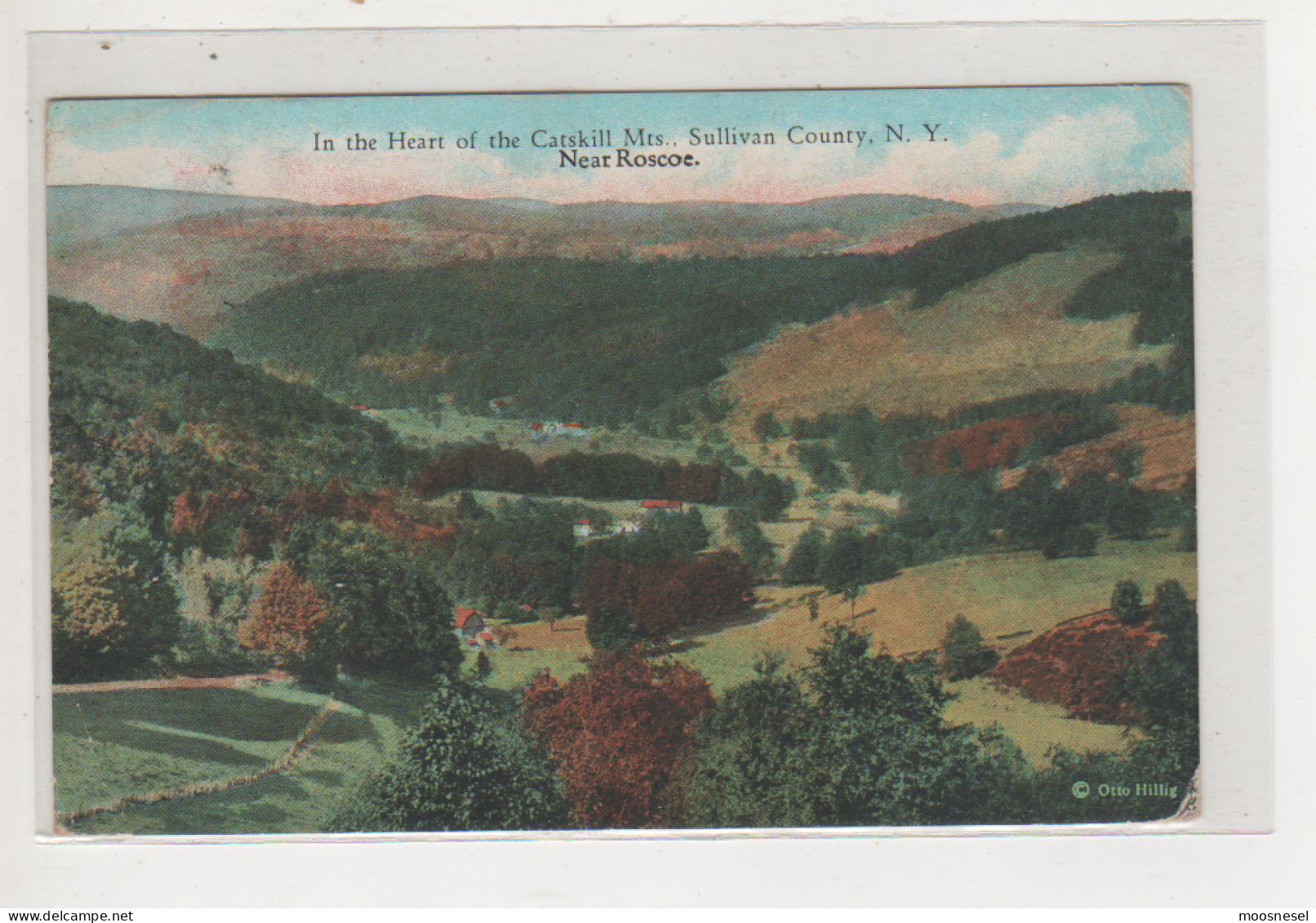 Antike Postkarte  IN THE HEART OF THE CATSKILL MTS. SULLIVAN COUNTY, N.Y. STEMPEL 1933 - Catskills