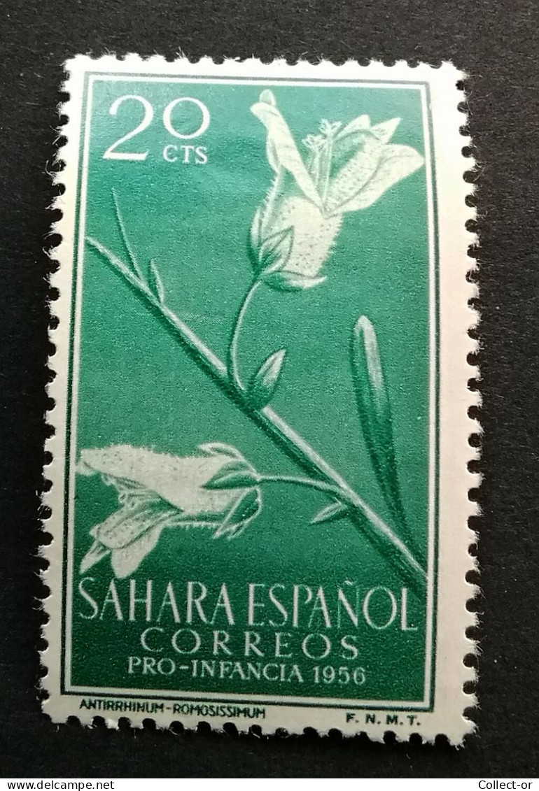 SAHARA ESPAGNOL, 1956, Antirrhinum Romosissimum, 20 Cts, Non Oblitéré, - Sahara Español