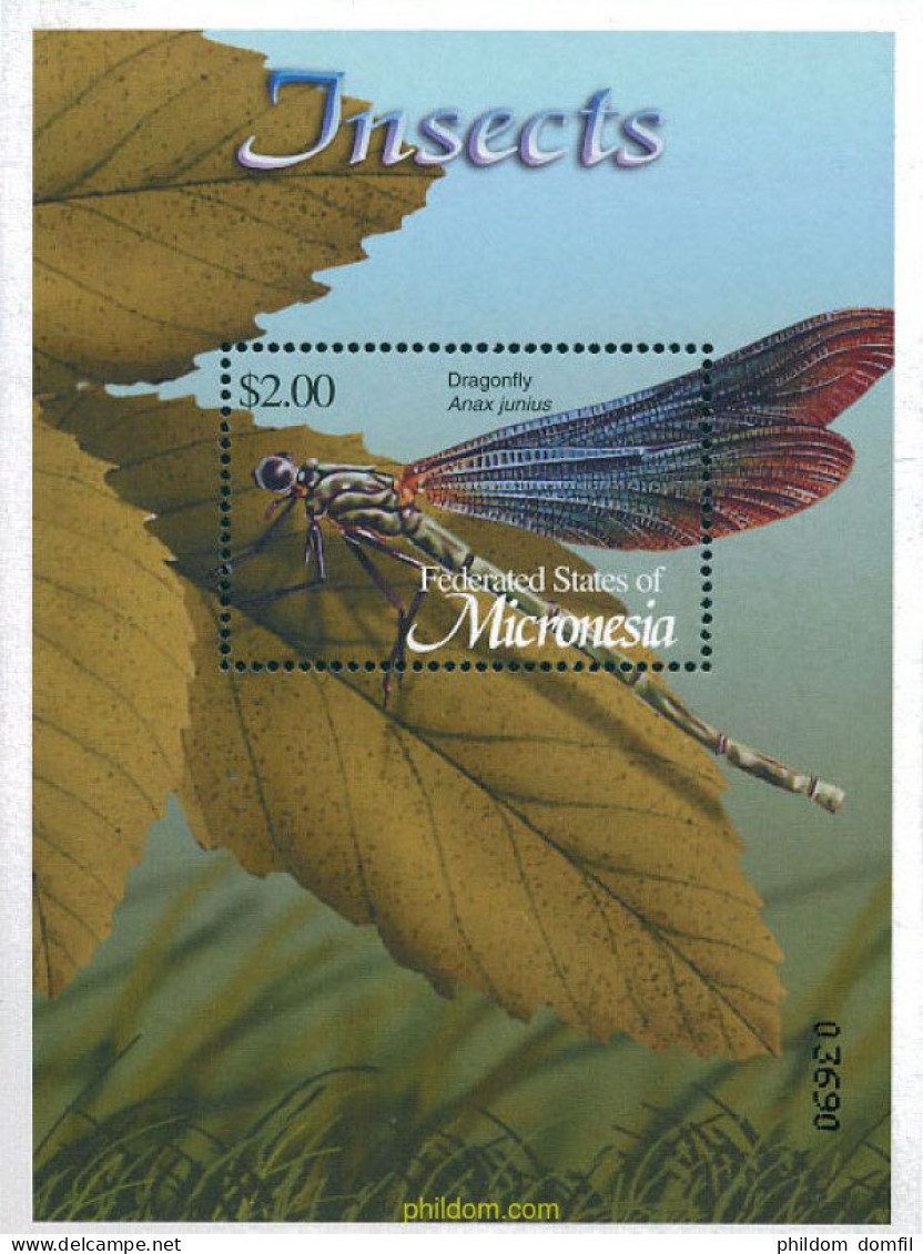 118713 MNH MICRONESIA 2002 INSECTOS - Arañas