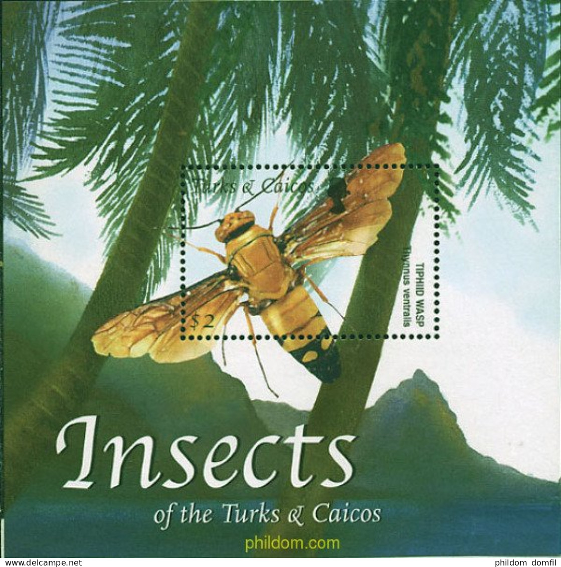 100649 MNH TURKS Y CAICOS 2002 INSECTOS - Spiders