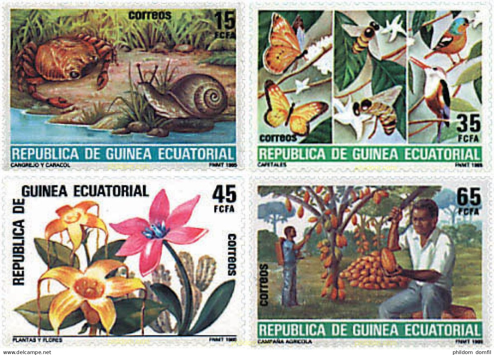 94779 MNH GUINEA ECUATORIAL 1985 NATURALEZA - Ragni