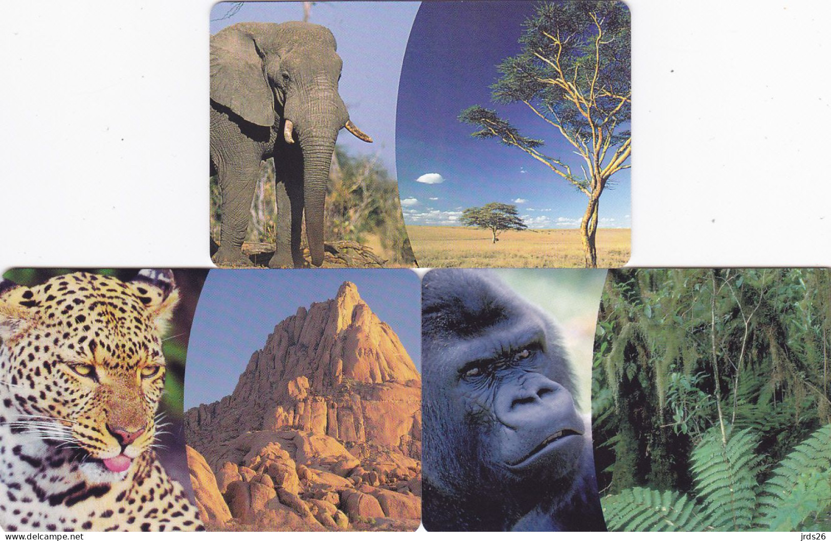 Germany 3 Phonecards Chip - - - Elephant, Leopard, Gorilla - Oerwoud