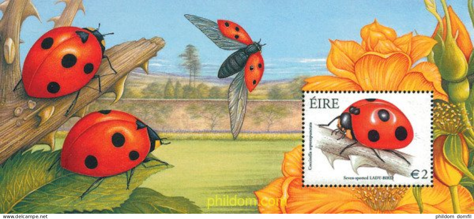 120490 MNH IRLANDA 2003 INSECTOS - Ragni