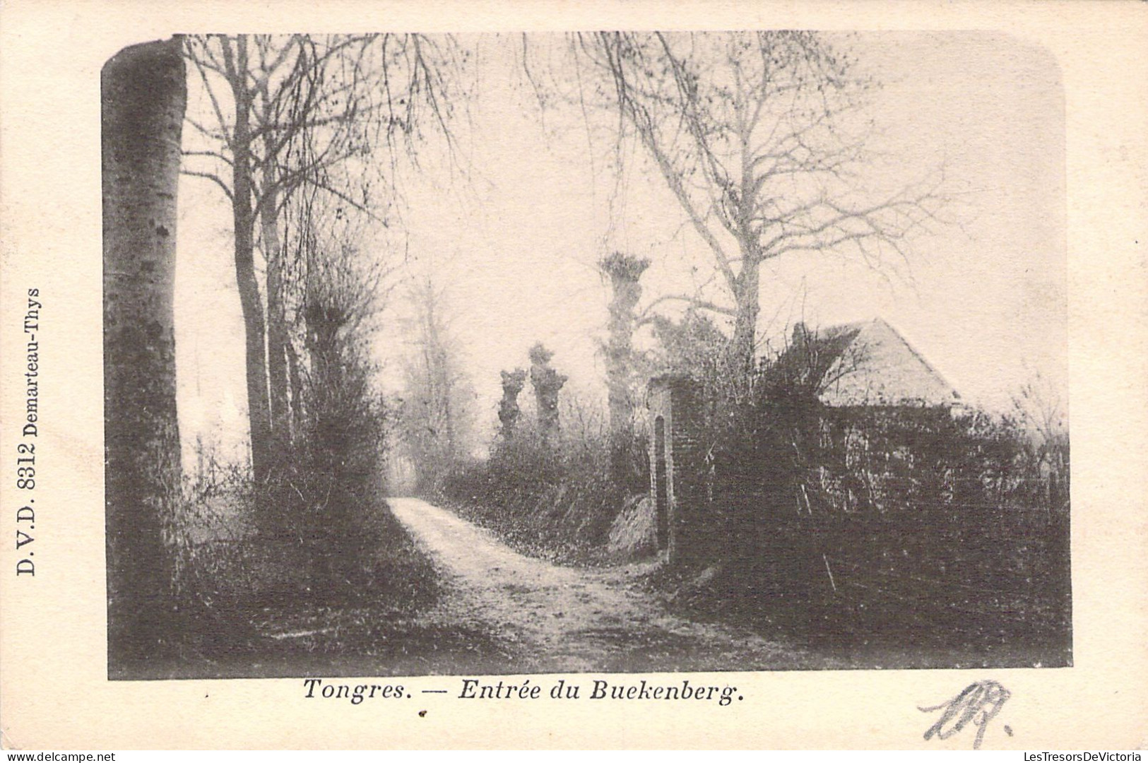 BELGIQUE - TONGRES - Entrée Du Buekenberg - Carte Postale Ancienne - Tongeren