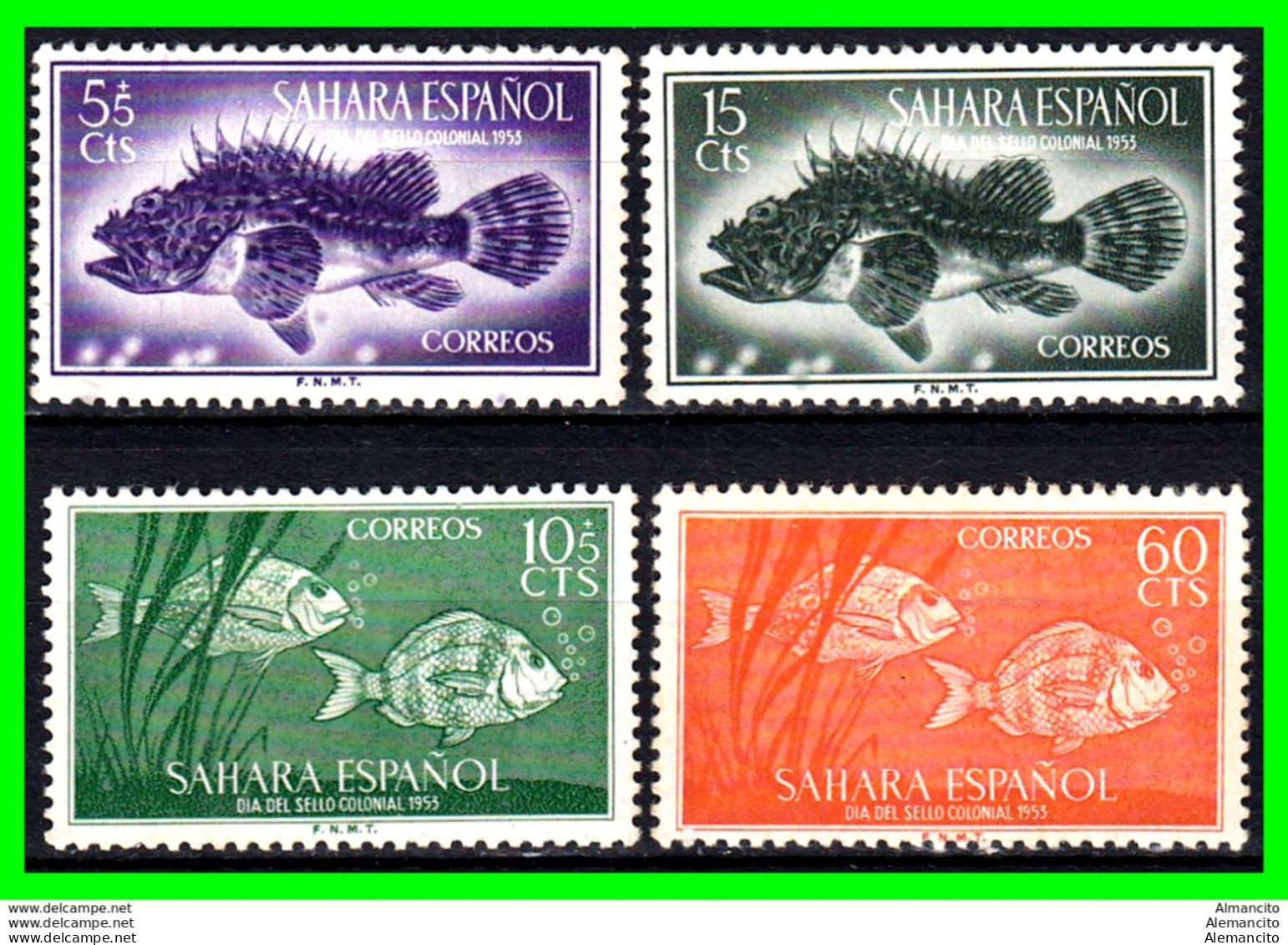 ESPAÑA COLONIAS ESPAÑOLAS (SAHARA ESPAÑOL – AFRICA ) SERIE DE SELLOS AÑO 1954 DIA DEL SELLO - NUEVO - Sahara Español