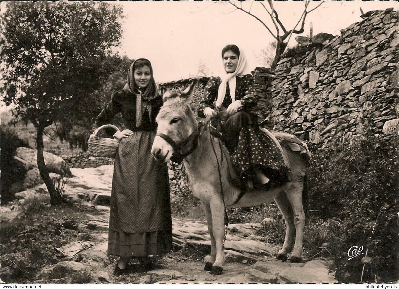 CPM Type Corse Jeunes Villageoises à Dos D'ane En 1957 Oblitération De LA PORTA - Europa