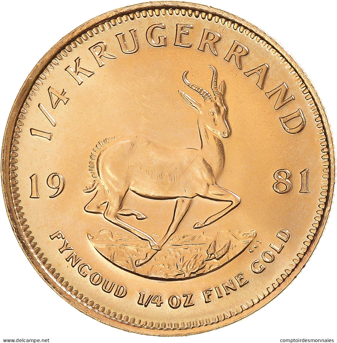 Monnaie, Afrique Du Sud, 1/4 Krugerrand, 1981, SPL, Or, KM:106 - Corea Del Sud