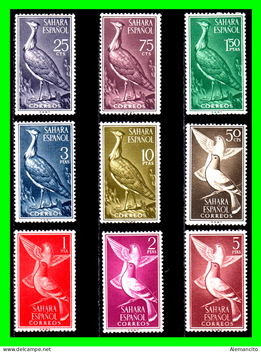 ESPAÑA COLONIAS ESPAÑOLAS ( SAHARA ESPAÑOL AFRICA ) SERIE DE SELLOS AÑO 1961 - AVES - NUEVOS - - Sahara Español