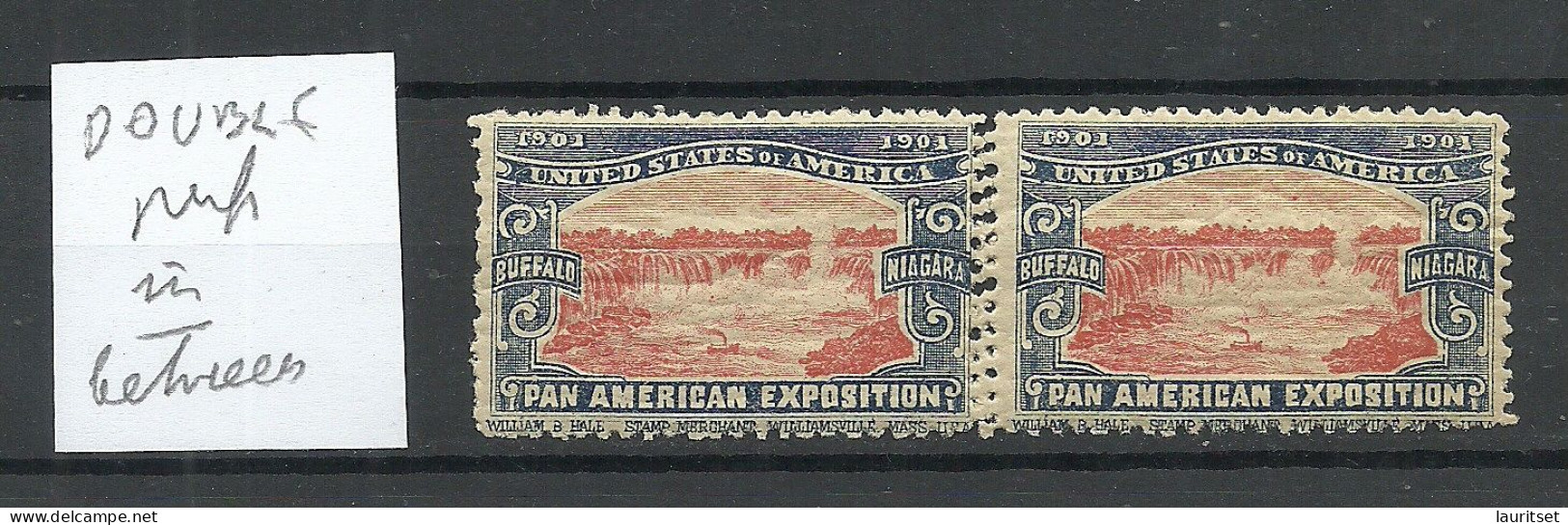 USA 1901 Pan American Exposition 1901 Advertising Stamp Reklamemarke As Pair MNH Variety = Double Perforation - Unused Stamps