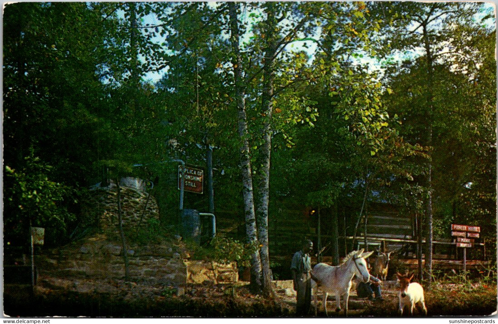 Alabama Bankhead National Forest Hepsidam Moonshine Still Replica And More - Autres & Non Classés