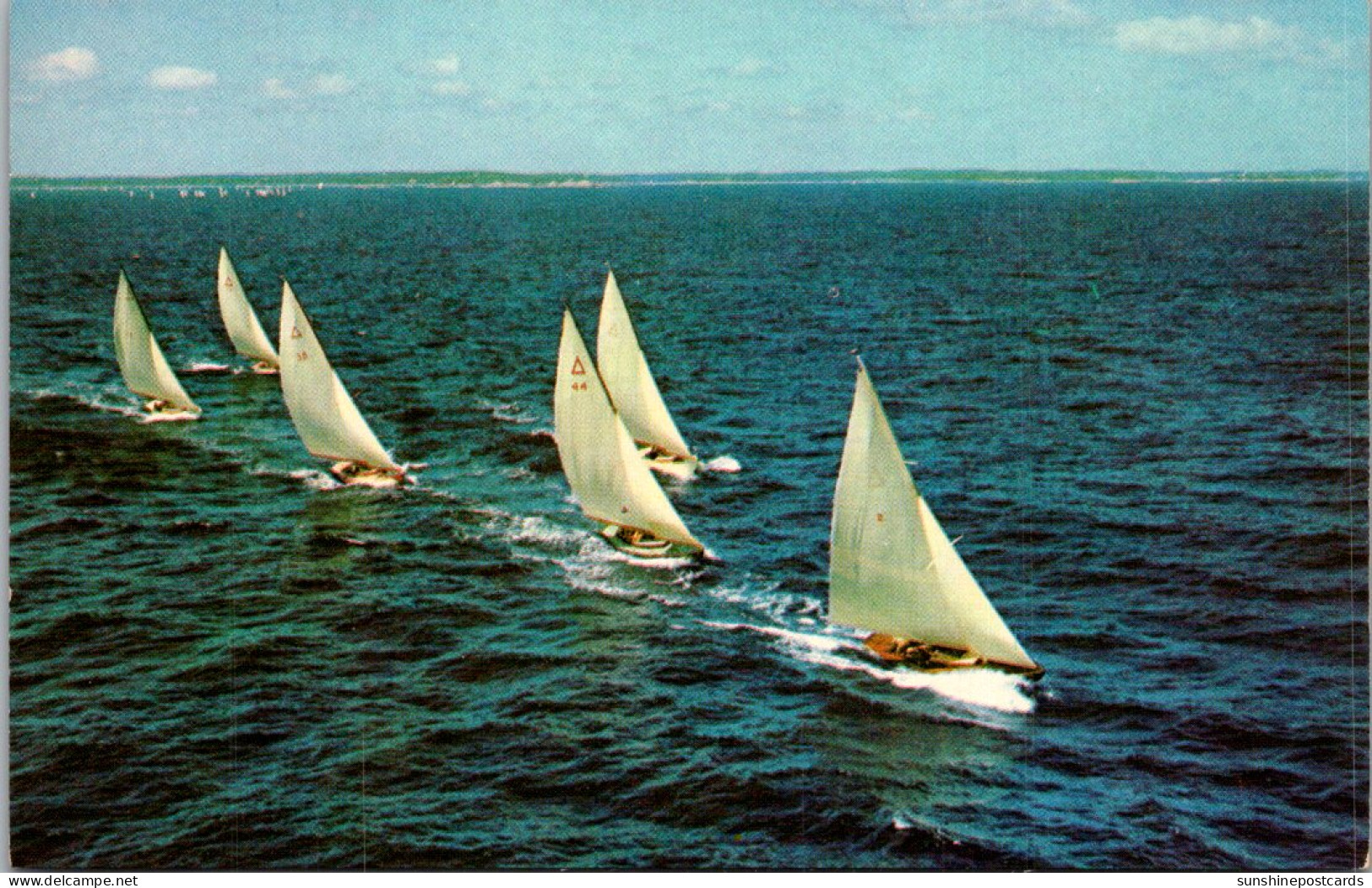 South Carolina Charleston Sailing Races Off The Battery - Charleston