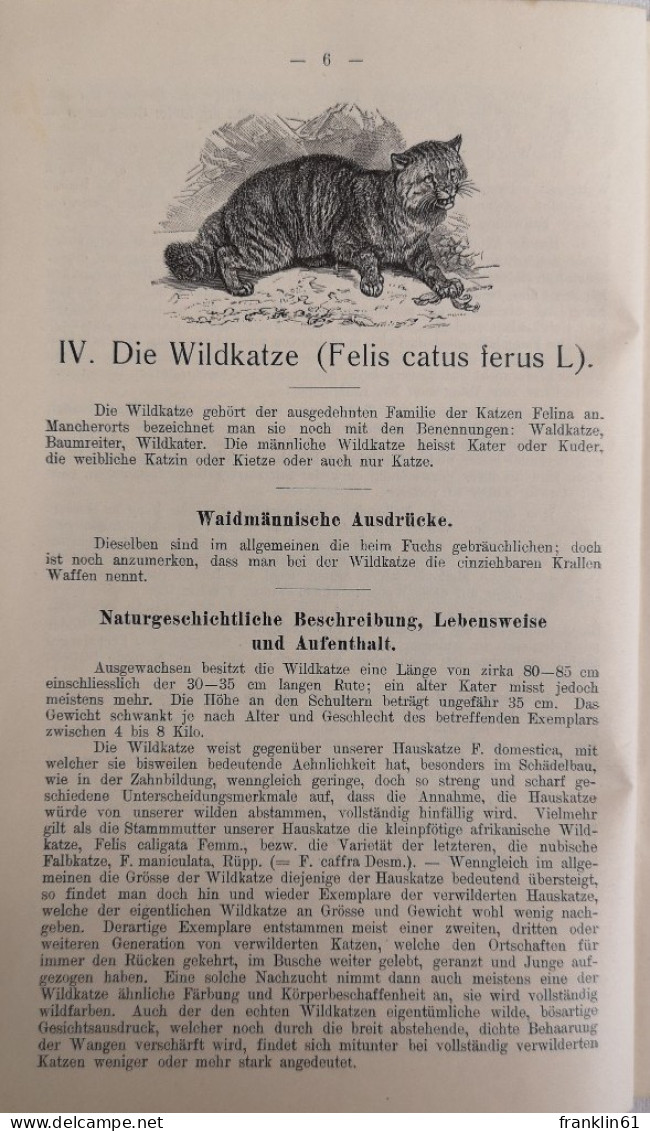 Anleitung Zum Fangen Des Raubzeuges. - Autres & Non Classés