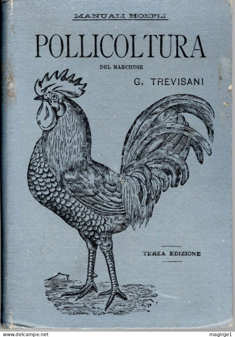 12 - Manuale Hoepli, Pollicoltura, Terza Edizione 1896 - Old Books