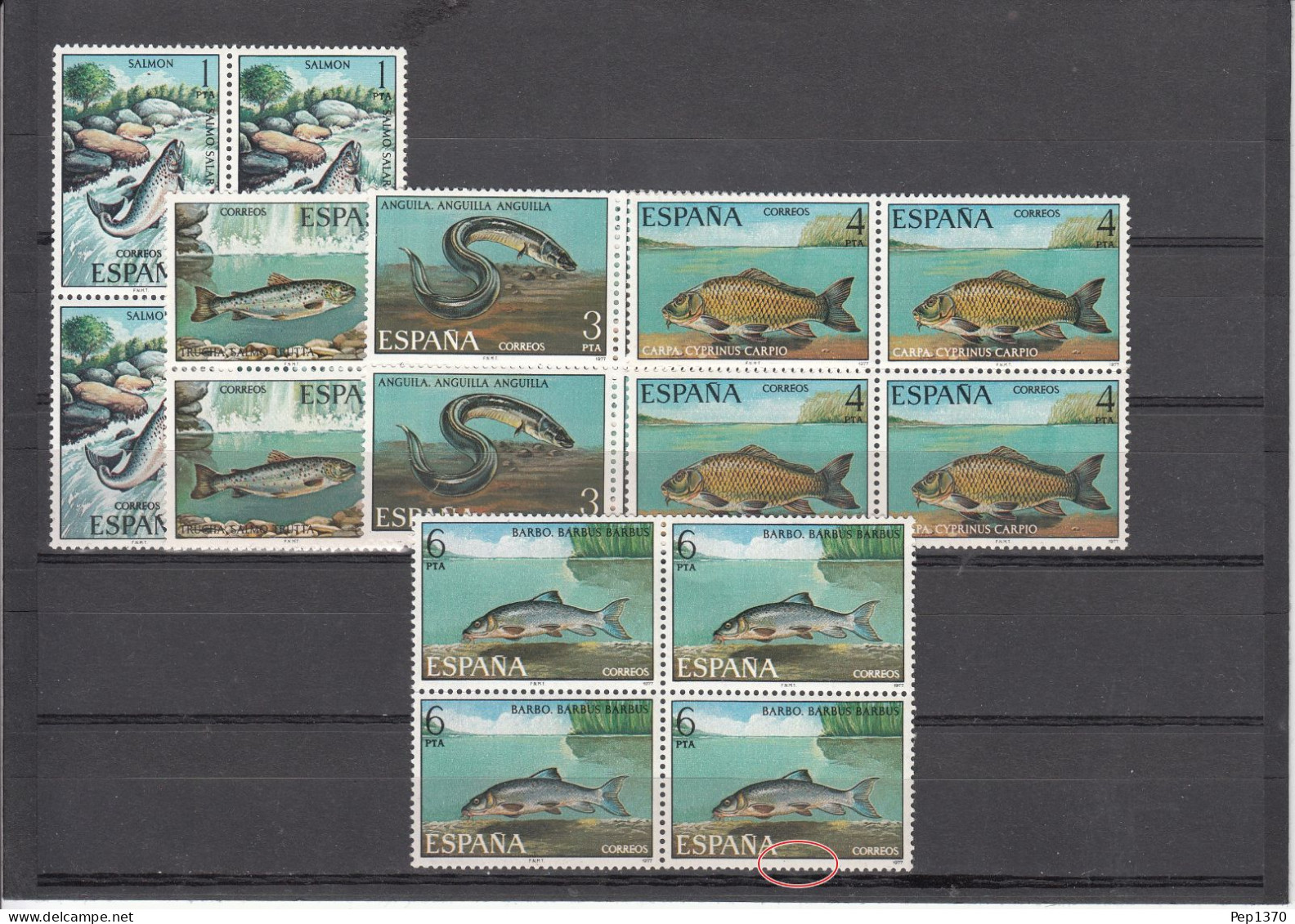 ESPAÑA 1977 - PECES EN BLOQUE DE CUATRO EDIFIL 2403/2407** CON ERROR EN SELLO Nº 2407 - SIN PIE DE IMPRENTA FNMT - Errors & Oddities