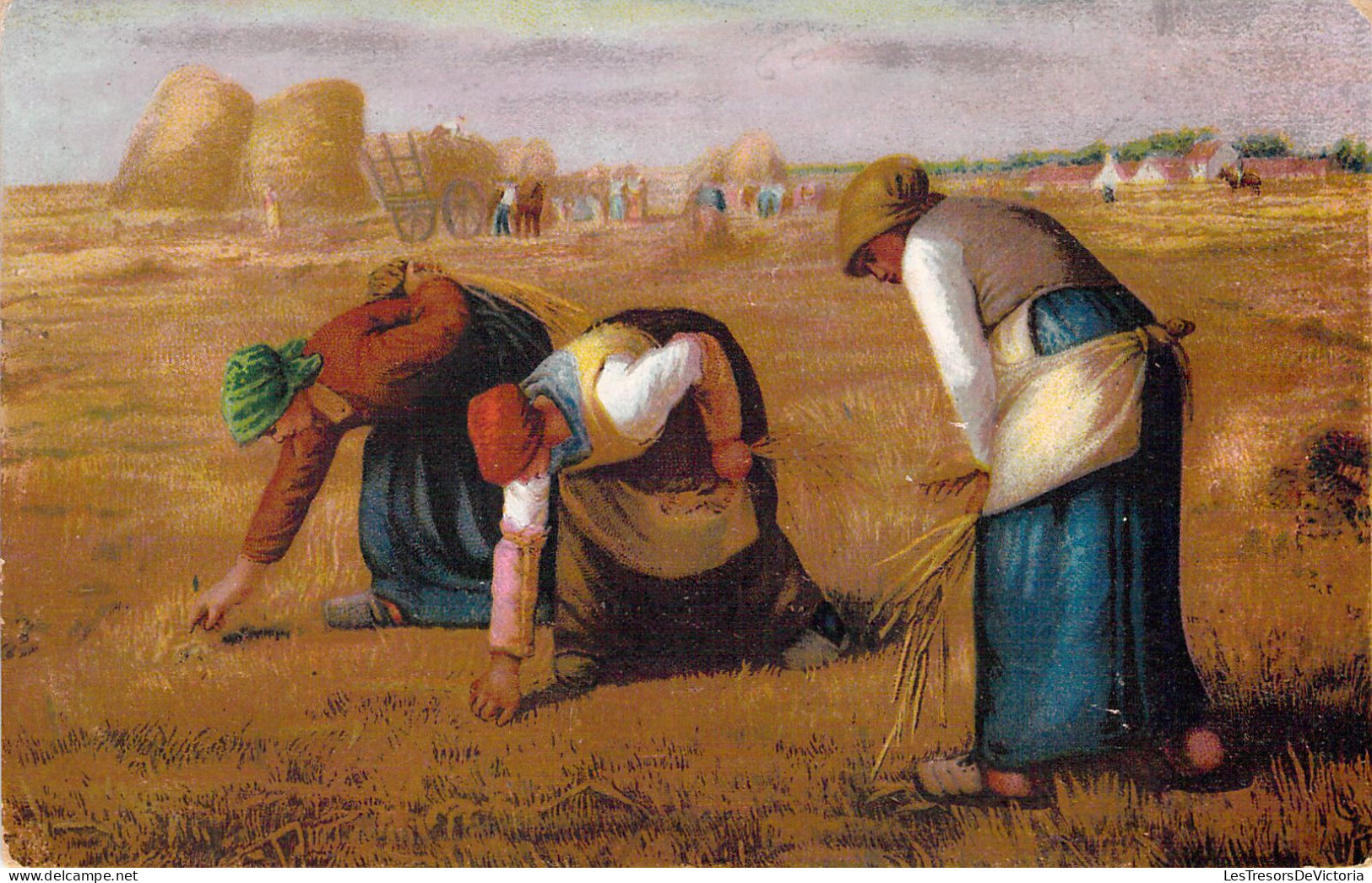 Agriculture - Moisson - Dans Les Champs - Carte Postale Ancienne - Cultures