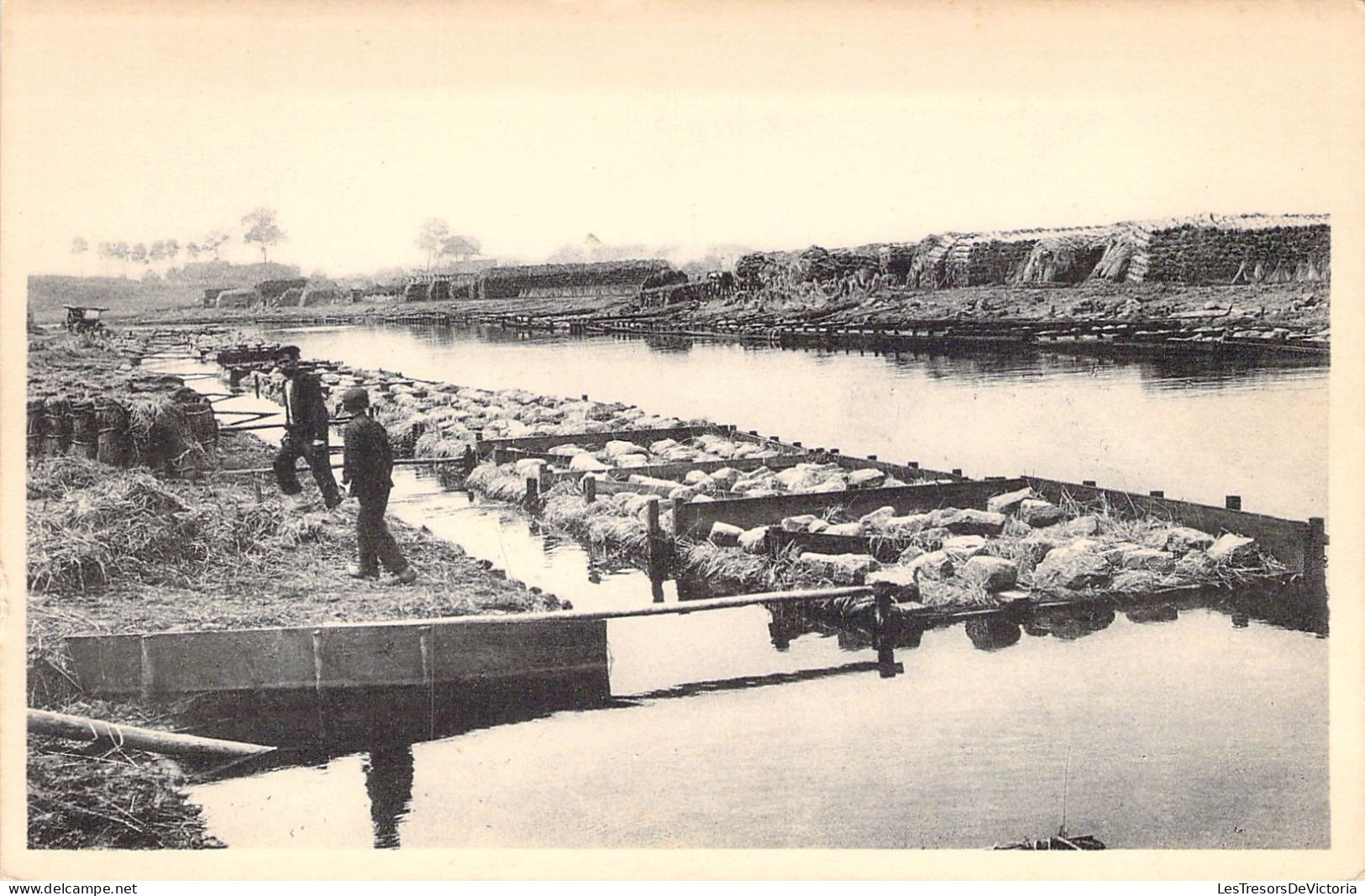 Agriculture - Paysan - Ballons De Lin à La Lys - Carte Postale Ancienne - Culturas