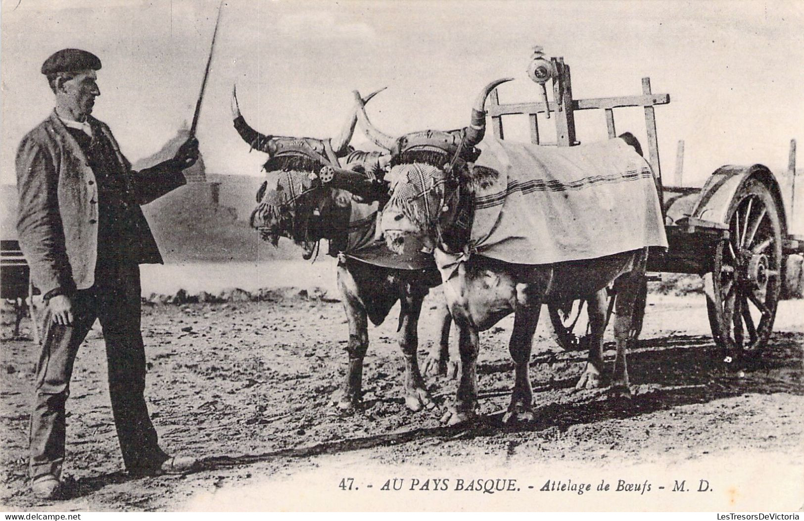 Agriculture - AU PAYS BASQUE - Attelage De Boeufs - MD - Carte Postale Ancienne - Spannen