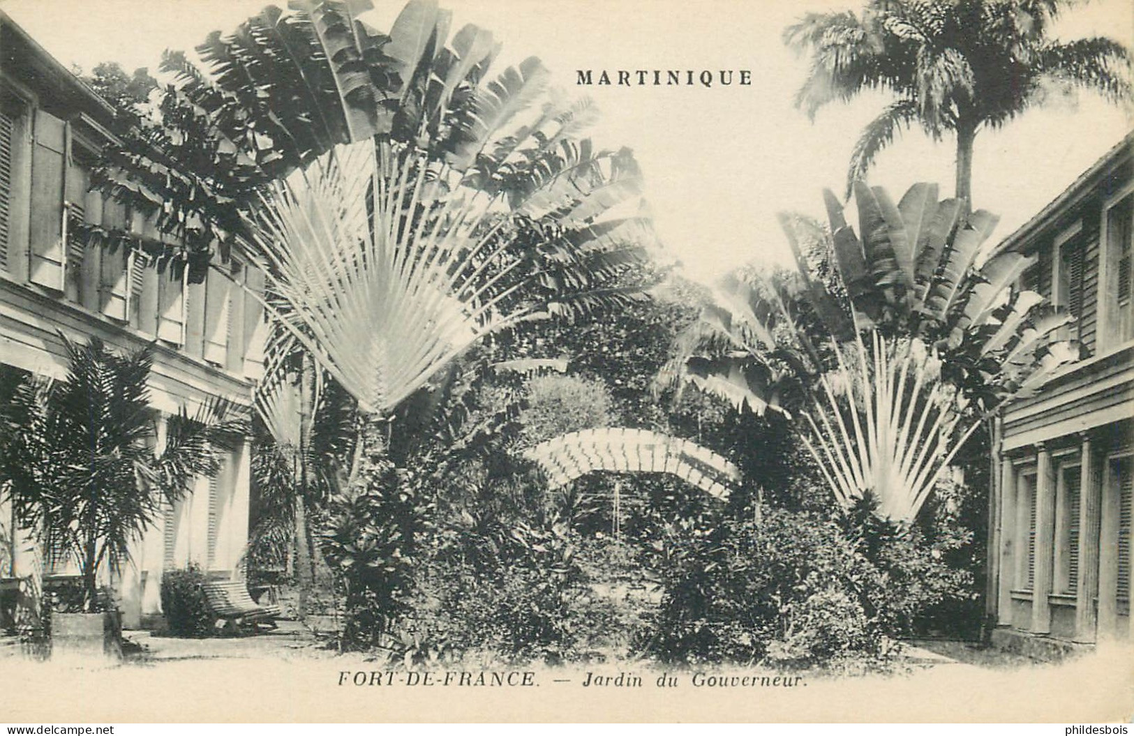 MARTINIQUE  FORT DE FRANCE  Jardin Du Gouverneur - Fort De France