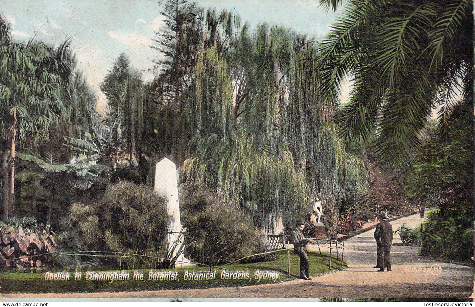 SYDNEY - Obelisk - Botanical Gardens - Carte Postale Ancienne - Autres & Non Classés