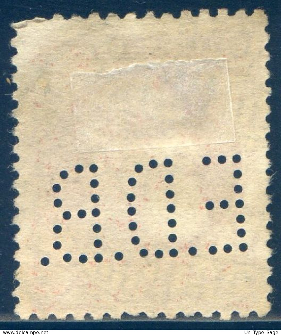 Belgique COB N°74 Oblitéré - Perforé E.D.B. - (F2988) - 1905 Grove Baard