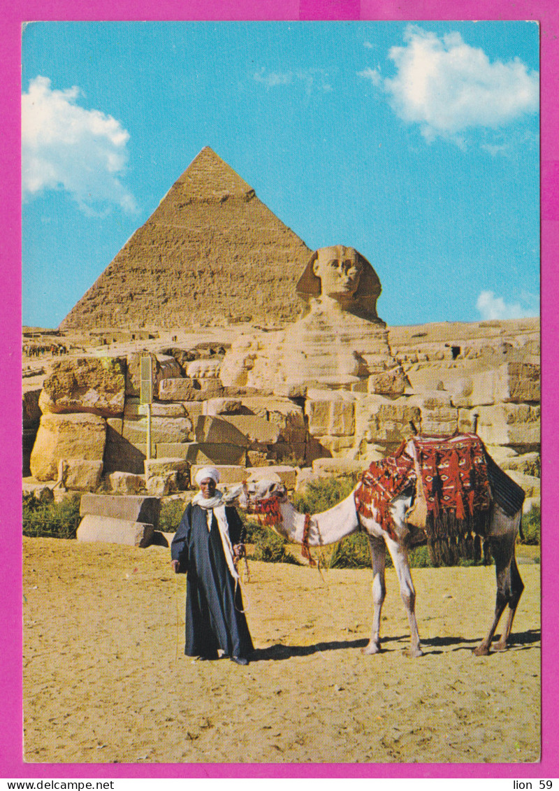 290114 / Egypt - Giza - The Great Sphinx  And Khephren Khafre Or Of Chephren Pyramid Camel Men PC 68 Egypte Agypten - Sphinx