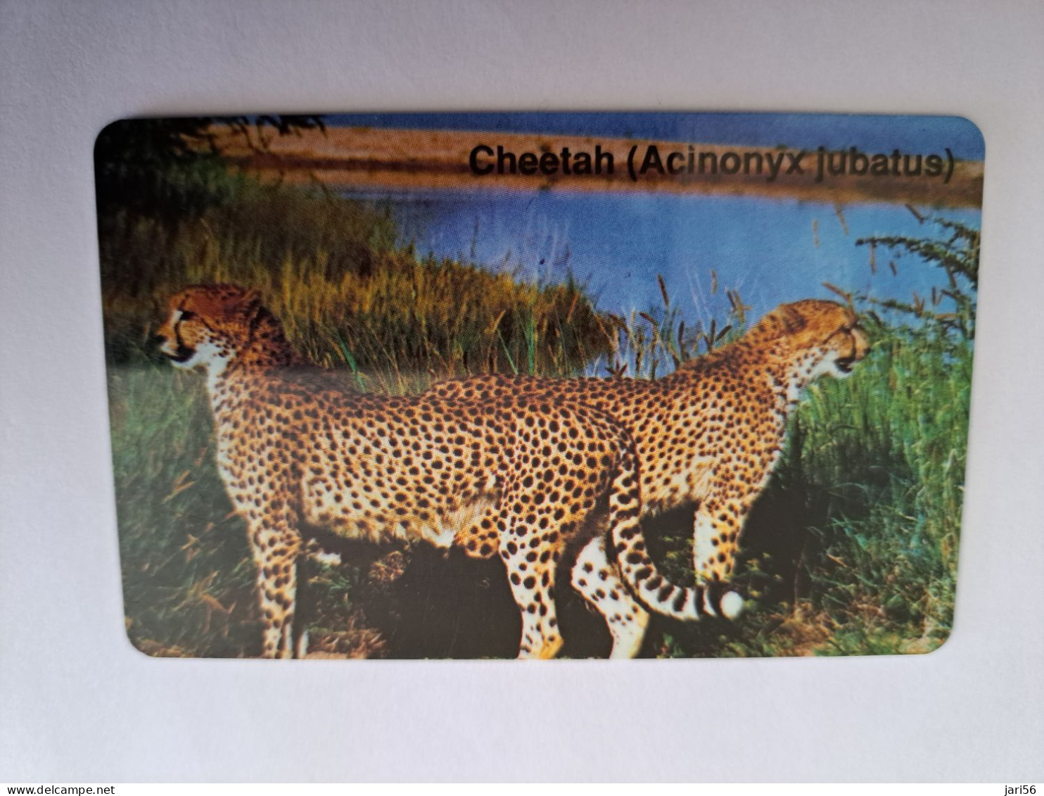 NAMIBIA  CHIPCARD    $10 BLEU / CHEETAH        Fine Used       **13076** - Namibia