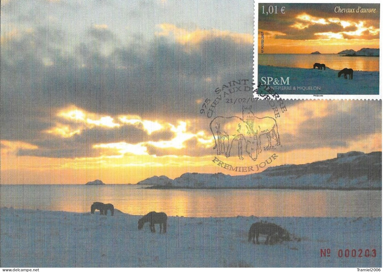 SP&M 2007 - YT 883 - Chevaux D'aurore - 21.02.2007 - Cartes-maximum