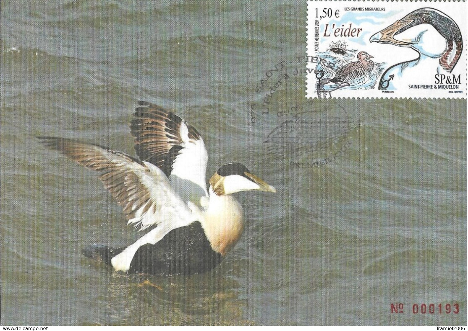 SP&M 2007 - YT PA 87 - Les Grands Migrateurs - L'eider - 02.05.2007 - Cartes-maximum