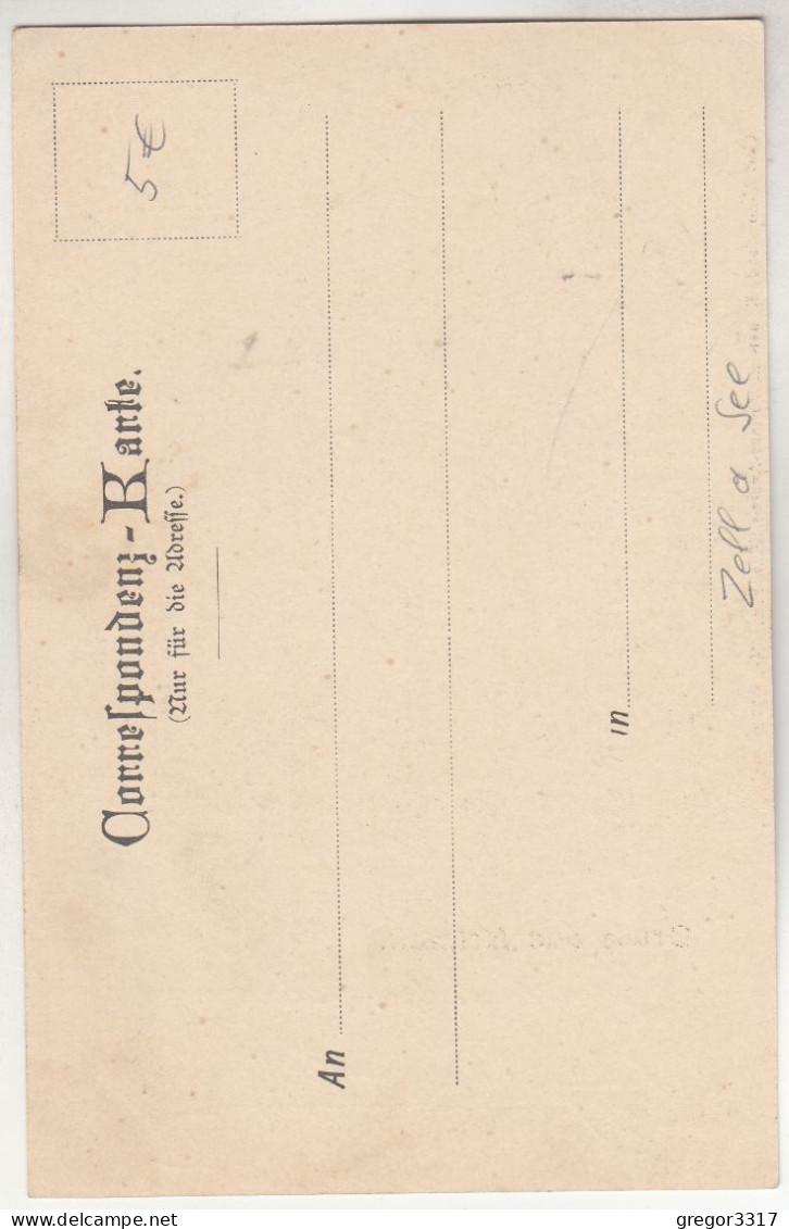C6913) GRUSS Aus KRIMML - Sehr Alte Variante - Carl Otto HAYD - Nr. 6012   - Beschrieben 1899 - Krimml