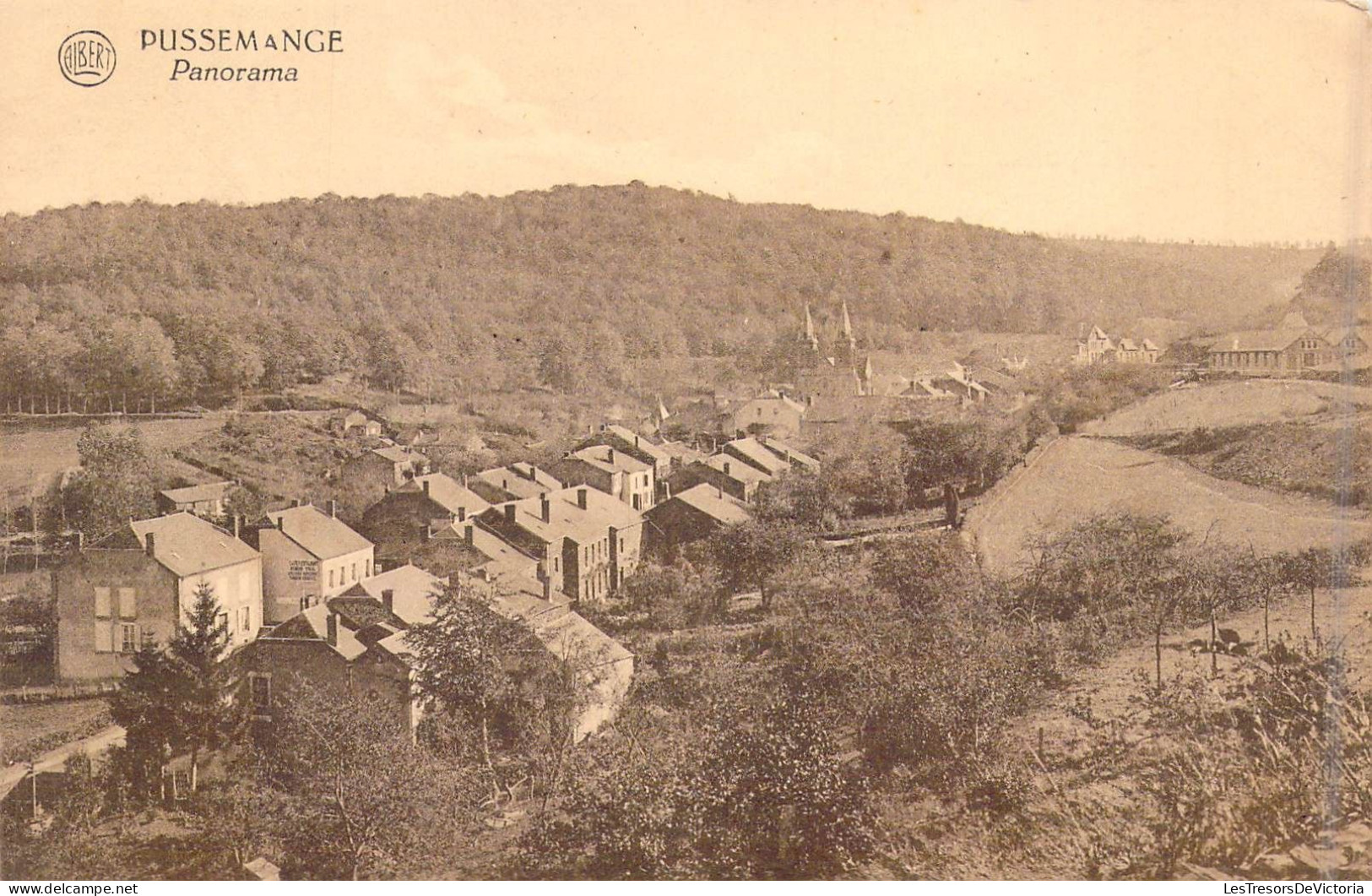 BELGIQUE - Pussemange - Panorama - Carte Postale Ancienne - Autres & Non Classés