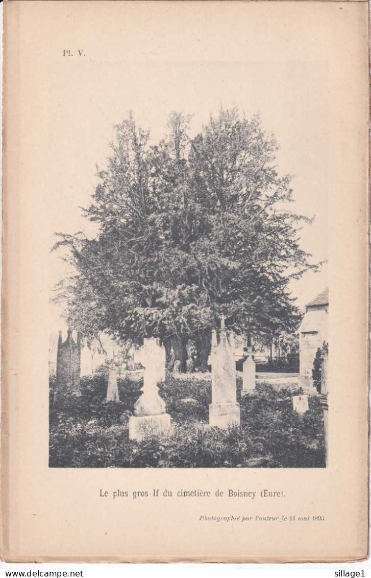 Boisney (Eure 27) IFS Du Cimetière - 2 Planches Anciennes Sortie D'un Livre - Photographié Le 11 Mai 1893 - Other Plans